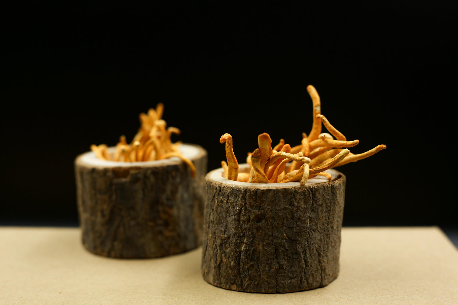 Beyond Coffee: Why Cordyceps Is Nature's Energy Solution
